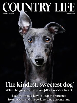 Country Life - Magazine